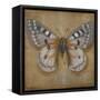 Butterfly II-Patricia Pinto-Framed Stretched Canvas