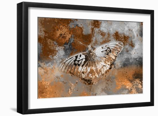 Butterfly II-Fernando Palma-Framed Giclee Print