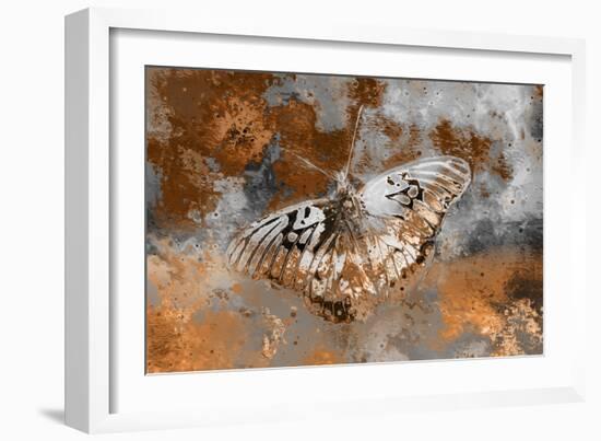 Butterfly II-Fernando Palma-Framed Giclee Print