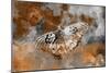 Butterfly II-Fernando Palma-Mounted Giclee Print