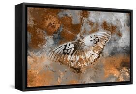 Butterfly II-Fernando Palma-Framed Stretched Canvas