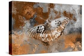 Butterfly II-Fernando Palma-Stretched Canvas