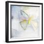 Butterfly II-Michelle Oppenheimer-Framed Art Print