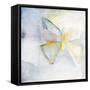 Butterfly II-Michelle Oppenheimer-Framed Stretched Canvas