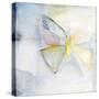 Butterfly II-Michelle Oppenheimer-Stretched Canvas