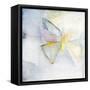 Butterfly II-Michelle Oppenheimer-Framed Stretched Canvas