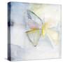 Butterfly II-Michelle Oppenheimer-Stretched Canvas