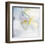 Butterfly II-Michelle Oppenheimer-Framed Art Print