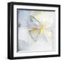 Butterfly II-Michelle Oppenheimer-Framed Art Print