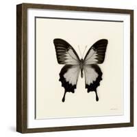 Butterfly III BW Crop-Debra Van Swearingen-Framed Art Print