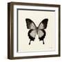 Butterfly III BW Crop-Debra Van Swearingen-Framed Art Print