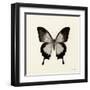 Butterfly III BW Crop-Debra Van Swearingen-Framed Art Print