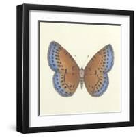 Butterfly III-Sophie Golaz-Framed Premium Giclee Print