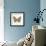 Butterfly III-Sophie Golaz-Framed Premium Giclee Print displayed on a wall