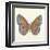 Butterfly III-Sophie Golaz-Framed Premium Giclee Print