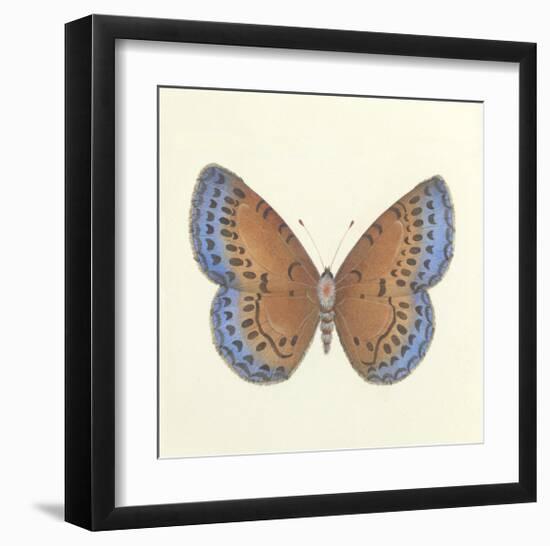 Butterfly III-Sophie Golaz-Framed Premium Giclee Print