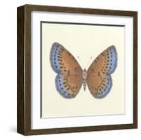 Butterfly III-Sophie Golaz-Framed Premium Giclee Print