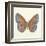 Butterfly III-Sophie Golaz-Framed Premium Giclee Print