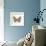 Butterfly III-Sophie Golaz-Framed Premium Giclee Print displayed on a wall