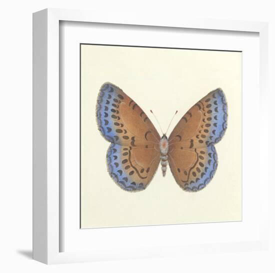 Butterfly III-Sophie Golaz-Framed Premium Giclee Print