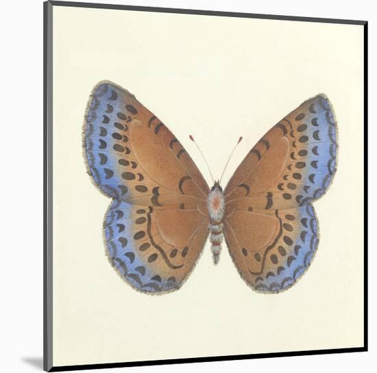 Butterfly III-Sophie Golaz-Mounted Premium Giclee Print