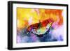 Butterfly III-Fernando Palma-Framed Giclee Print