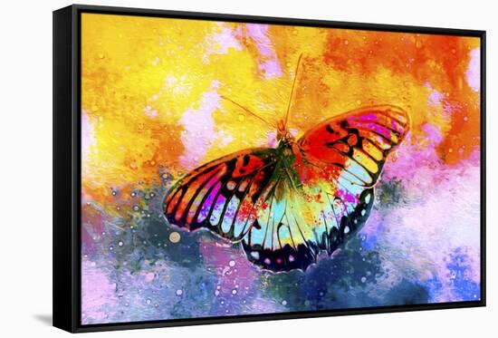 Butterfly III-Fernando Palma-Framed Stretched Canvas