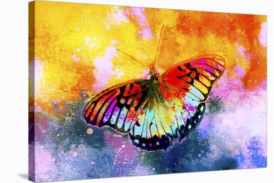 Butterfly III-Fernando Palma-Stretched Canvas