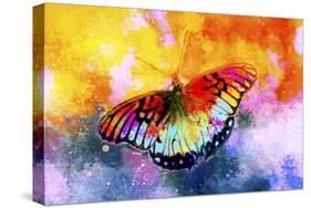 Butterfly III-Fernando Palma-Stretched Canvas