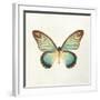 Butterfly Impression II-Irene Suchocki-Framed Giclee Print