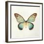 Butterfly Impression II-Irene Suchocki-Framed Giclee Print