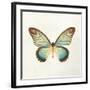 Butterfly Impression II-Irene Suchocki-Framed Giclee Print