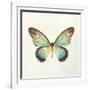 Butterfly Impression II-Irene Suchocki-Framed Giclee Print