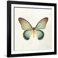 Butterfly Impression II-Irene Suchocki-Framed Giclee Print