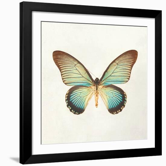 Butterfly Impression II-Irene Suchocki-Framed Giclee Print