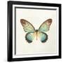 Butterfly Impression II-Irene Suchocki-Framed Giclee Print