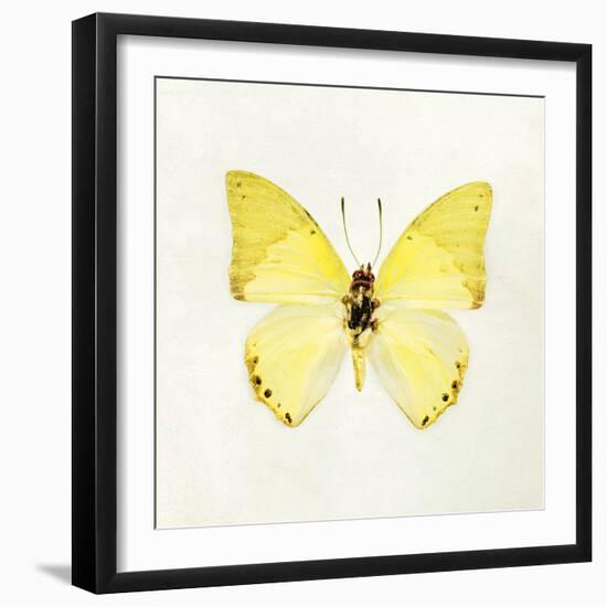 Butterfly Impression III-Irene Suchocki-Framed Giclee Print