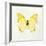 Butterfly Impression III-Irene Suchocki-Framed Giclee Print