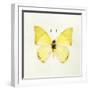 Butterfly Impression III-Irene Suchocki-Framed Giclee Print