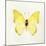 Butterfly Impression III-Irene Suchocki-Mounted Giclee Print