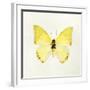 Butterfly Impression III-Irene Suchocki-Framed Giclee Print