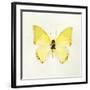 Butterfly Impression III-Irene Suchocki-Framed Giclee Print