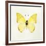 Butterfly Impression III-Irene Suchocki-Framed Giclee Print