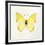 Butterfly Impression III-Irene Suchocki-Framed Giclee Print