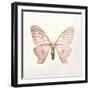 Butterfly Impression IV-Irene Suchocki-Framed Giclee Print