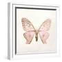 Butterfly Impression IV-Irene Suchocki-Framed Giclee Print