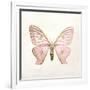 Butterfly Impression IV-Irene Suchocki-Framed Giclee Print