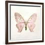 Butterfly Impression IV-Irene Suchocki-Framed Giclee Print