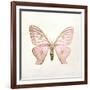 Butterfly Impression IV-Irene Suchocki-Framed Giclee Print