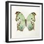 Butterfly Impression-Irene Suchocki-Framed Giclee Print